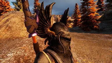 Helmet