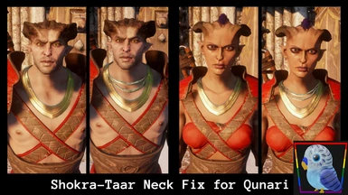 Shokra-Taar Neck Fix for Qunari