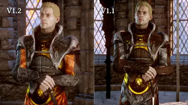 Ferelden Medium Armor