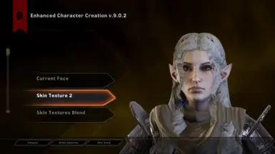 EF Modded Preset 01 Identical to Custom Face