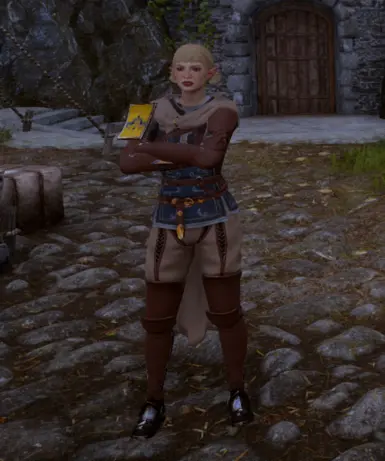 Orlesian Adventurer Outfit