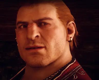 Scars for El's 4K Varric Complexion