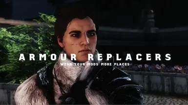 Armour Replacers - wear mods more places
