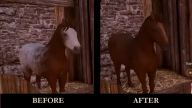 Alternative horse coat colors