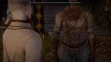 Before: Missing conditional transform for Qunari