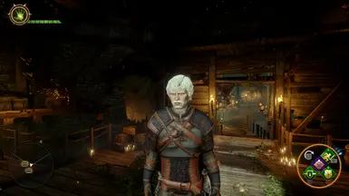 Witcher Armor ( human male )