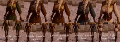 Libelula versions