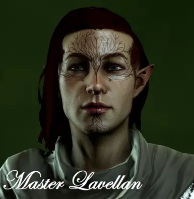 Male Elf