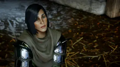 Character Sliders Collection at Dragon Age: Inquisition Nexus - Mods ...