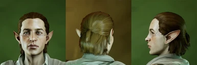 half ponytail04