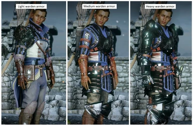 Warden armor variations