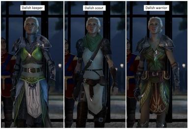 Dalish armor variants