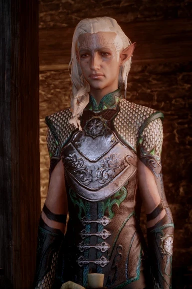 Disheveled Side Braid for Male Elves at Dragon Age: Inquisition Nexus ...