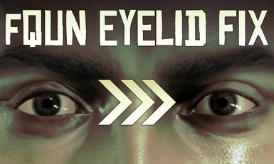fQun Eyelid Fix Preview