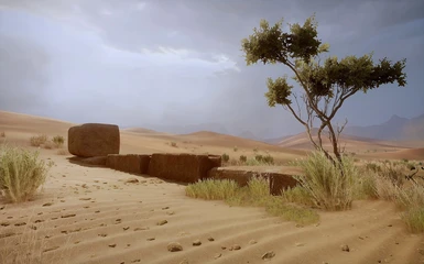The Desert II