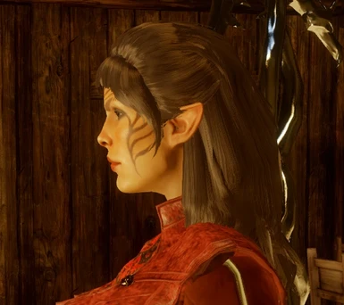Female Elf Long Hairstyles At Dragon Age Inquisition Nexus