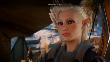 Anya'velin - Dalish Archer at Dragon Age: Inquisition Nexus - Mods and ...