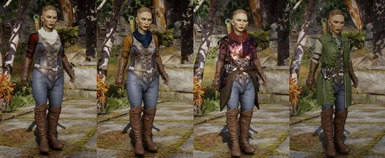 DF Outerwear - warden - on different armors