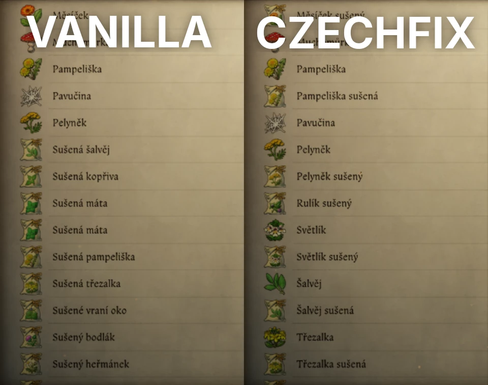 Čeština pro KCD 2