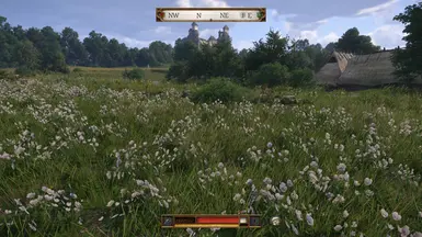 BIGGER HUD