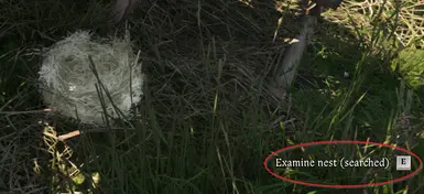 Examine (searched) Nest