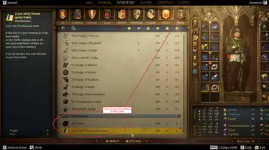 InGame Configuration Token