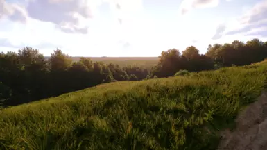 Distant Trees Fixed