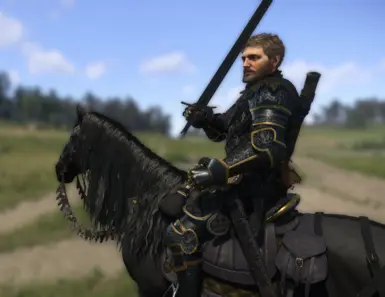 Best armor mod out there
