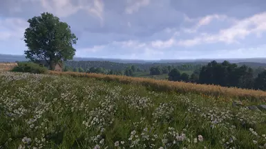 Vanilla - No Mods