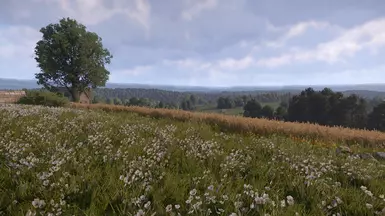 Neutral Sky Mod Version