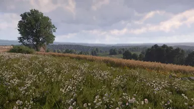 Warmer Sky Mod Version
