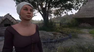 Vanilla - No Mods
