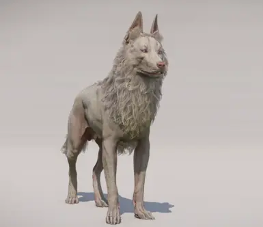 Alternative albino version