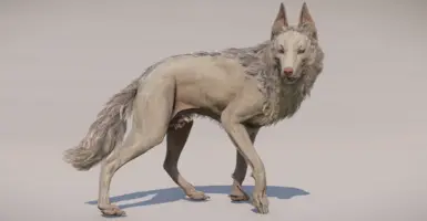 Alternative albino version