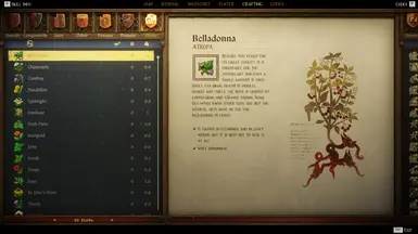 Rise Of Kingdom - Regular