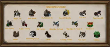 HORSEMANSHIP