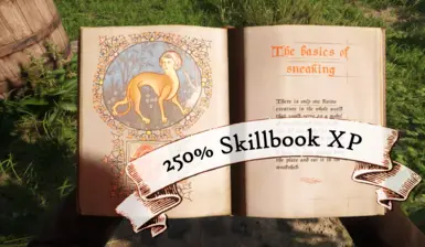 Higher Skillbook XP