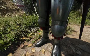 Saxon Plate Legs