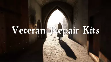 Veteran Repair Kits