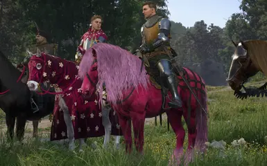 Used with "I'm Just Hans - Pink Outfits Overhaul"
