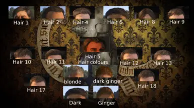 Hairs Template (theres no hair 3 cuz its ugly and hair 7 seems to not exist)