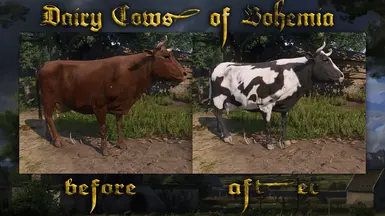 Dairy Cows of Bohemia