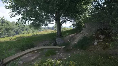 crossbow ready