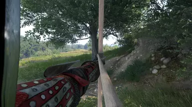 no zoom (view obstruction only in photo mode)