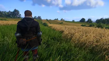 XTG Cinematic Ghibli-Inspired Fantasy Reshade Preset