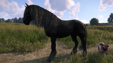 Optional friesian version