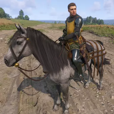 no helmet