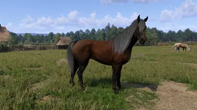 Gringolet