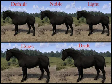 Body Morphs