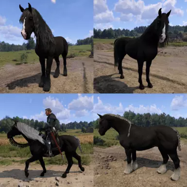 Black Beauty